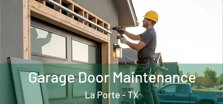 Garage Door Maintenance La Porte - TX