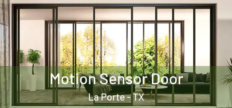 Motion Sensor Door La Porte - TX